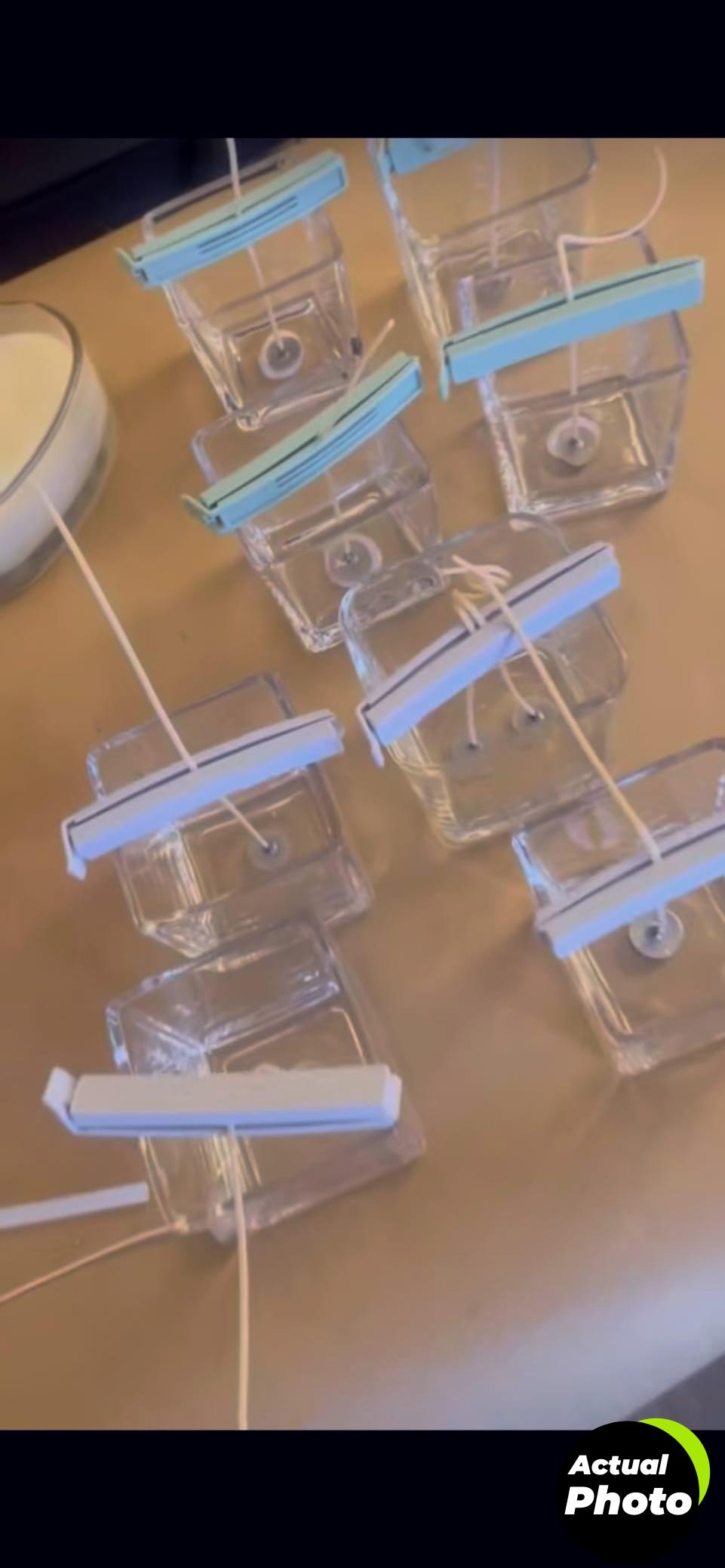 32-pcs-plastic-chip-clips-set-curved-design-foto-3