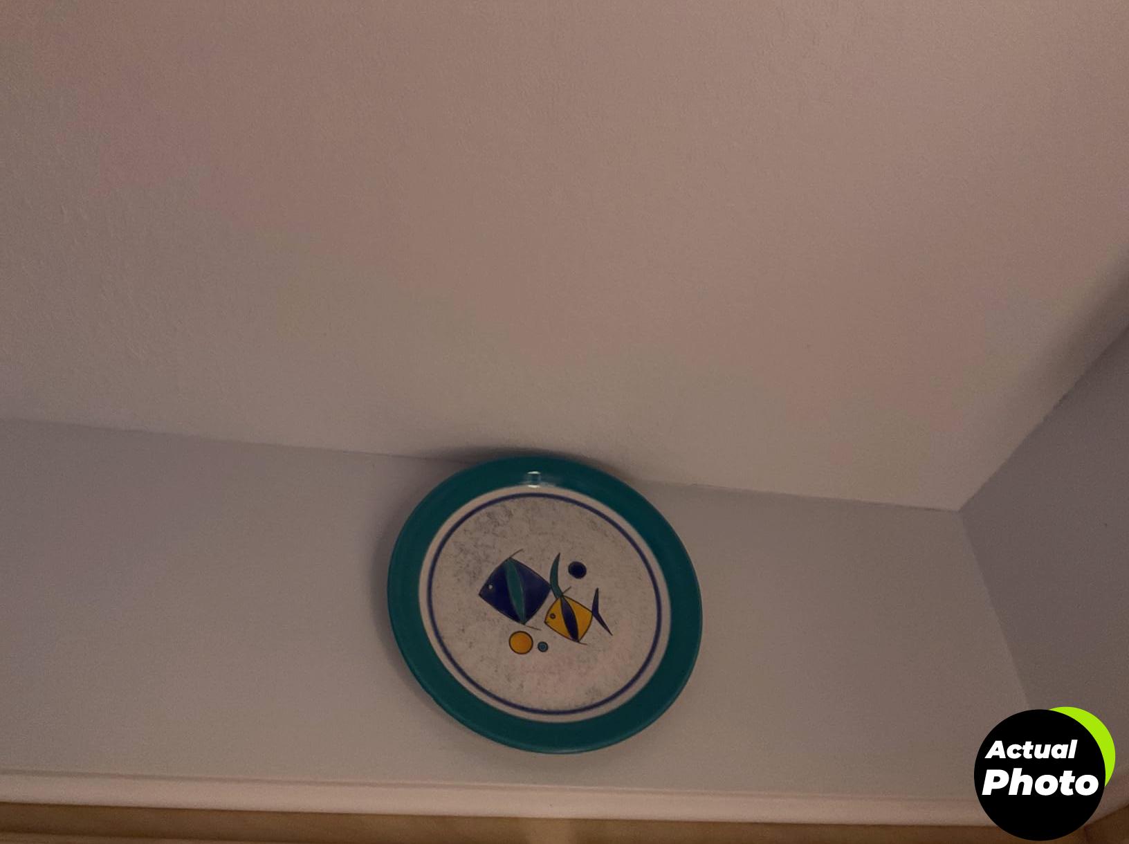 invisible-plate-hangers-pack-18-pack-foto-1